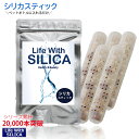 ネコポス全国送料無料/Life With SILICA スティック/スティック棒/シリカ水/シリカ還元/ペットボトル/ケイ素/珪素/ミネラル成分/日本製スティック/お試し/還元/シリカ水生成/お試し/水/お水/健康/美容/美のミネラル/ペットボトル