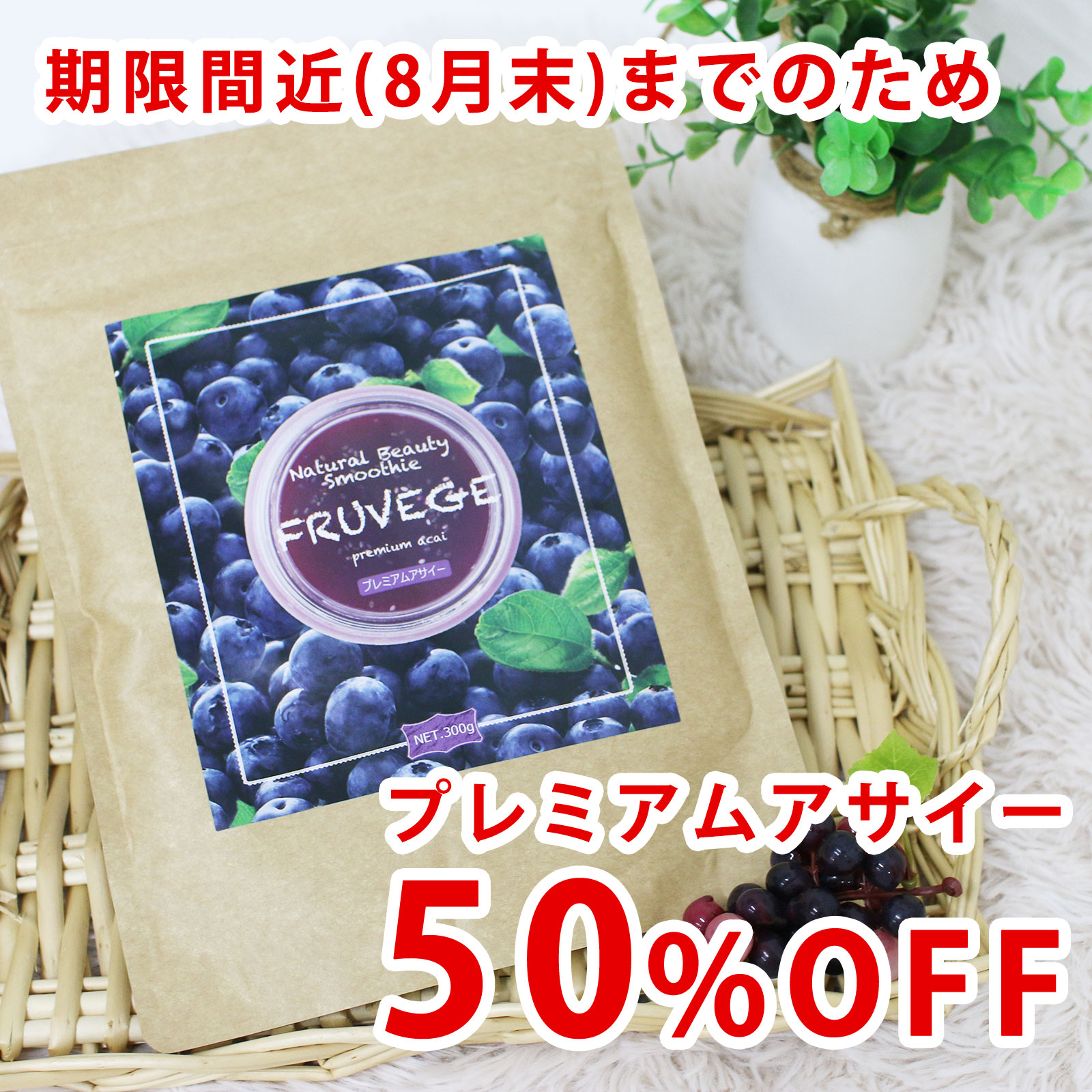 ＼賞味期限8月末までのため半額セー...