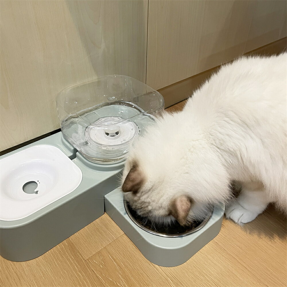 楽天rico collection猫 フードボウル 餌皿 給水器 給餌 食器 水 自動 ペット ペット用 2つ仕切り スプーン付き フードボール 高さがある 食べやすい 餌 エサ 餌入れ エサ入れ エサいれ 皿 お皿 ペット おしゃれ?