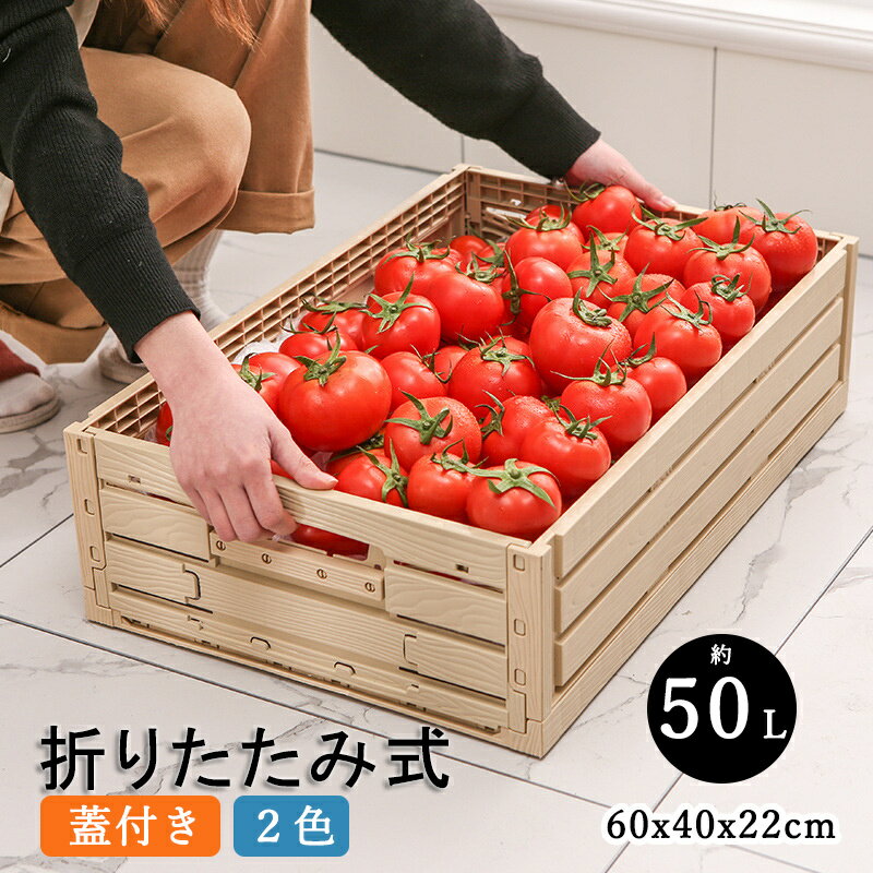 収納ボックス 折りたたみ Lサイズ 約50L フタ付き コンテナボックス 野菜 保存 積み重ね可能 蓋付き おもちゃ箱 無地 おしゃれ かっこいい 組み立て簡単 屋外 屋内 アウトドア 省スペース 片付け 衣装ケース オフィス ファイル整理 倉庫 ガレージ 物置 収納ボックス 巣ごもり