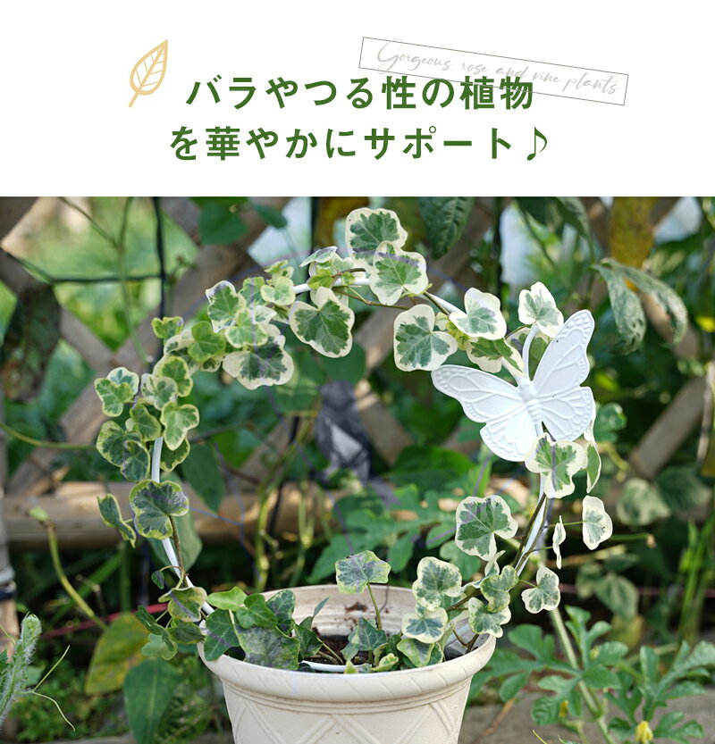 植物支柱 植物サポート フラワー支柱 リング支...の紹介画像2
