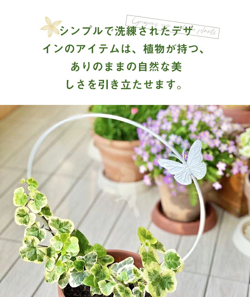 植物支柱 植物サポート フラワー支柱 リング支...の紹介画像3