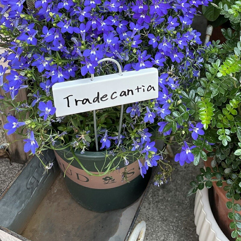 ��� �͡����٥� ��ݥ�٥� ��°�� 10�祻�å� �ץ��ȥޡ����� �ץ��ĥ��� ��ʪ��٥� �����ǥ��٥� ���ƥ�쥹 �ե���٥� ��ʪ ̾�� ���� ȭ�� ¿����ʪ ��� �� �ߺ� �� �����ǥ󻨲�