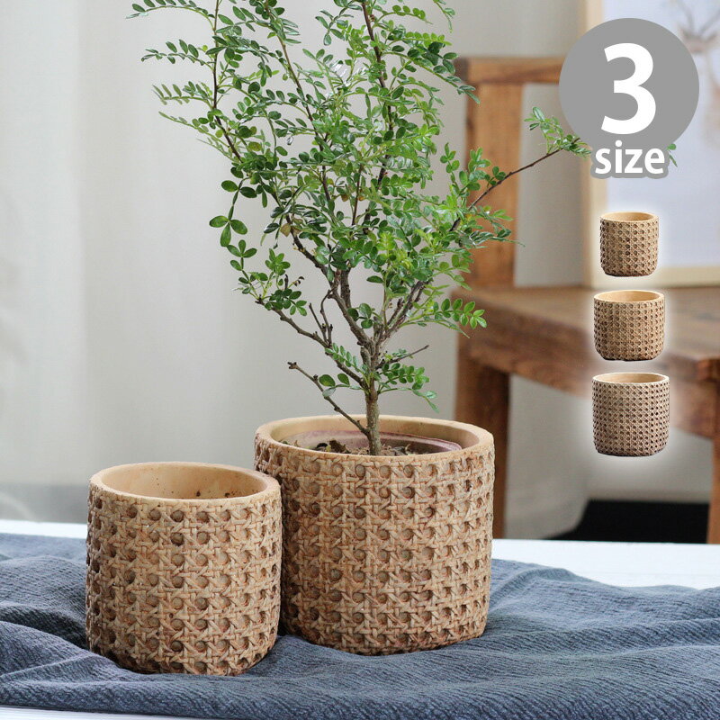 rico collection ���տ�ʪ ����ȭ ȭ���� �ץ�󥿡� �ݥå� ���󥯥��� ������ ���� ���� ȭ���С� �Ÿ��� ������� ¿����ʪ ���襤�� ...