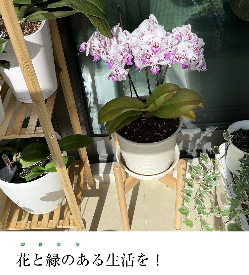 フラワースタンド プランタースタンド 花台 観葉植物 フラワー スタンド 室内 おしゃれ スリム 鉢 観葉 植物 置き 台 コンソール 北欧 玄関 花 プランター 丸型 鉢台 脚付き 円形 飾り台 インテリア ナチュラル フラワーポット 期間限定お試し価格 ガーデニング 天然