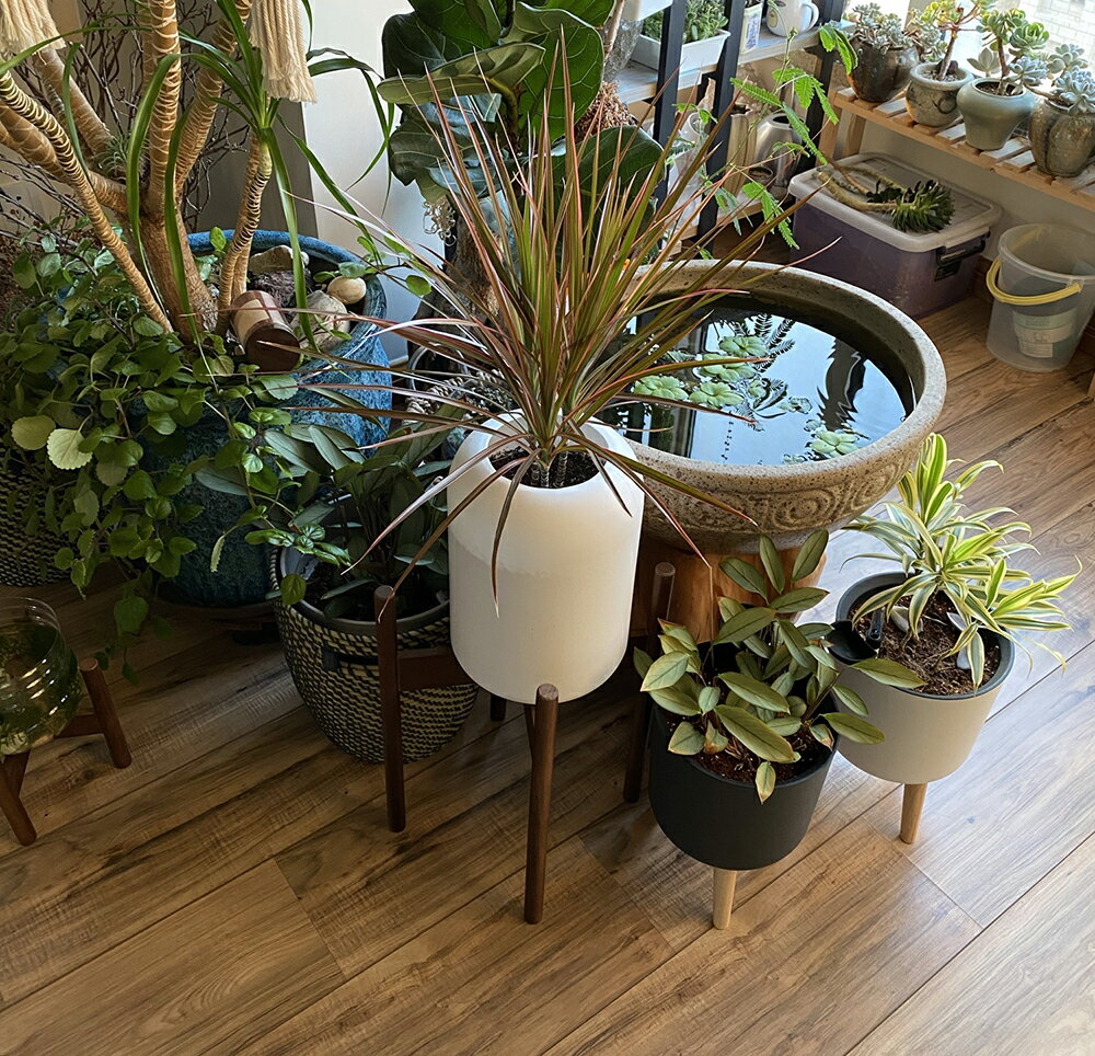 フラワースタンド 期間限定 プランタースタンド 花台 観葉植物 フラワー スタンド 室内 おしゃれ スリム 鉢 観葉 植物 置き 台 コンソール 北欧 玄関 花 プランター フラワーポット 木脚 屋外 鉢台 脚付き 母の日 丸型 ナチュラル インテリア ガーデニング 飾り台 木製