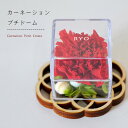■母の日ギフト <プリザーブドフラワー>名前入りケース入り カーネーションと木製コースターセット(メッセージ彫刻可能)<バラ おしゃれ 花><記念日 名入れ><...