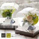 父の日ギフト【送料無料】(名入れアーティフィシャル グリーン)名入れ瓶入りミニブーケ (2種類)(枯れない フェイクグリーン)<観葉植物 名入れ>卓上観葉植物 ...