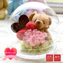 ■【母の日ギフト】ドーム型ROSA- カーネーション ベアー -(枯れないお花)【茶色のハートにメッセージ】<メッセージ名入れ可能><名入れ フラワー ドーム>...