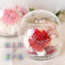 ■母の日のプレゼント】光るバラ& カーネーション ROSA-ロサ- (枯れないお花) <メッセージ名入れ可能><プリザーブドフラワー 名前入り><お母さん 誕生...