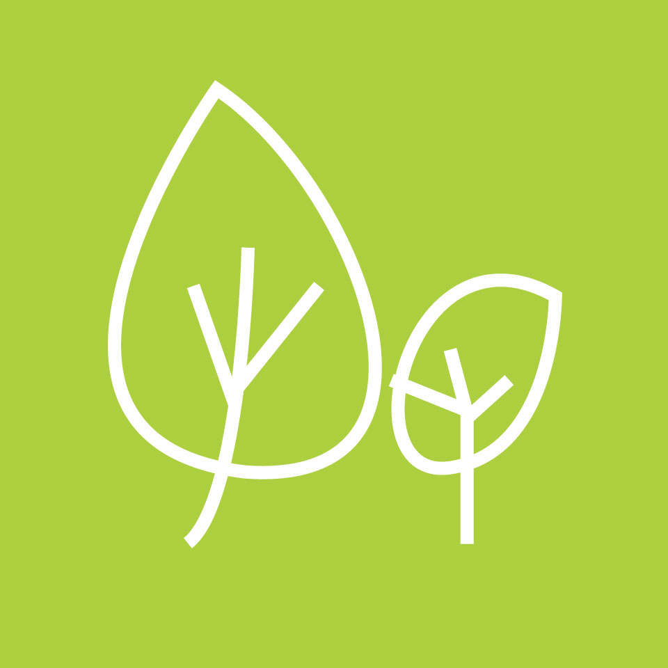 Shop icon