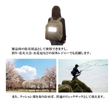 【在庫処分特価】座椅子ZAC AIT-2G