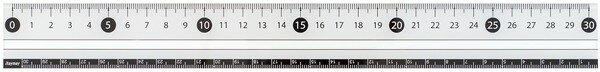 【レイメイ藤井】見やすい白黒定規　30センチ　白　[APJ281W]