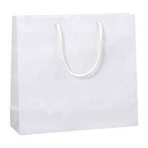 ڥ⥸ޡۥ֥饤ȥХå330300mm򡡡1)[6137901]