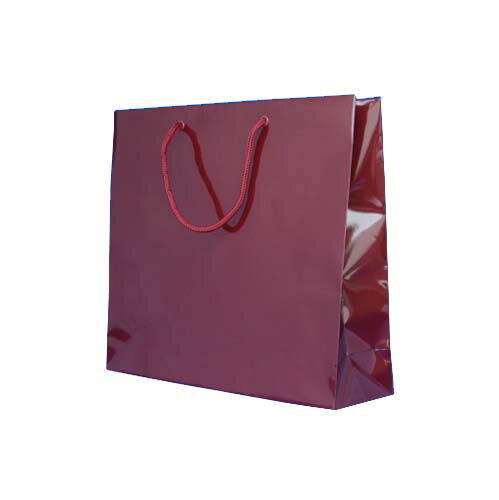 ڥ⥸ޡۥ֥饤ȥХå330300mm󥸡1)[6137902]