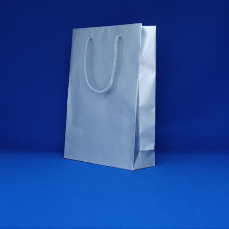 ڥ⥸ޡۥ֥饤ȥХå225320mm䡡1)[6138204]