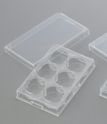 ����ʪ�����ѥץ졼��6�ꡡ1��/�ޡ�60�������̳�ƻ�����������Բġ�