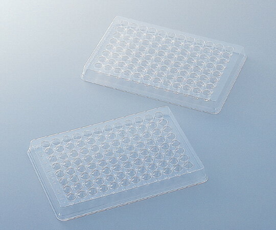 �ǥ����ݥץ졼��(96��)��100����