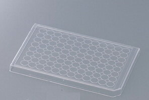 �ޥ������ץ졼���ѥե�����1��/�ޡ�50