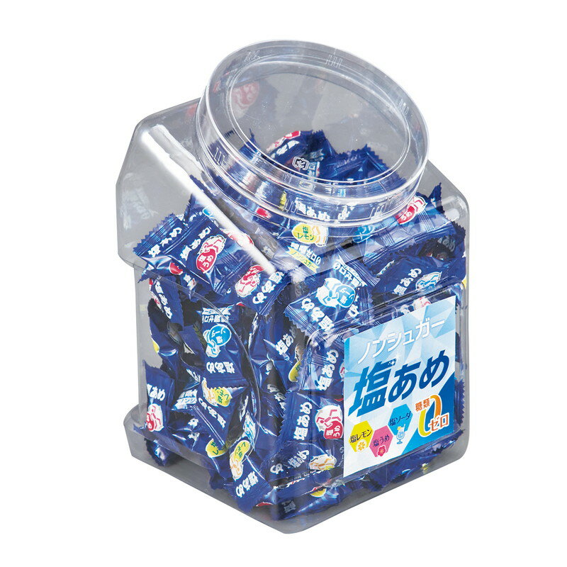 ≪日本緑十字社≫【軽減税率対象商品】ノンシュガー塩飴　800g【熱中症・暑さ対策】のサムネイル