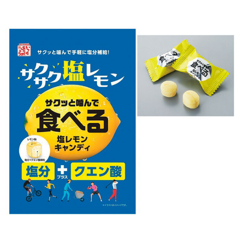 ≪日本緑十字社≫【軽減税率対象商品】食べる塩レモンキャンディ　約80g×10袋【熱中症・暑さ対策】のサムネイル