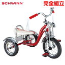 SCHWINN シュウィン 2021年モデル LIL STINGRAY S.DX TRICYCLE リトルスティングレイ トライシクル 三輪車