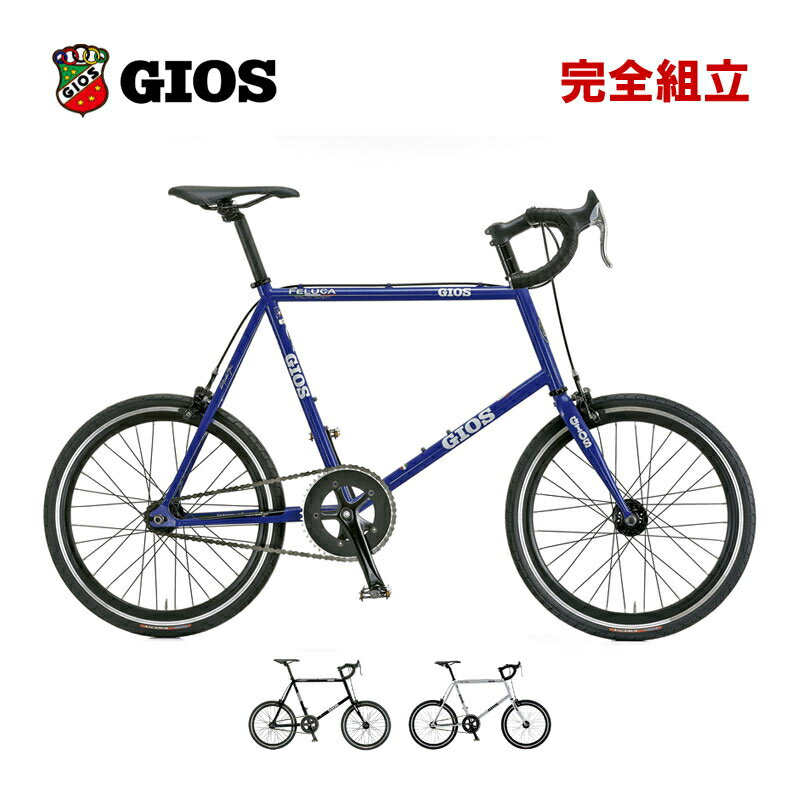 GIOS  2024ǯǥ FELUCA PISTA ե롼ԥ ߥ˥٥