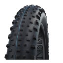 SCHWALBE シュワルベ ジャンボジム 26x4.00/4.40(100/110-559) ケブラービード ブラック SuperGround MTB タイヤ