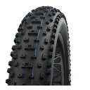 SCHWALBE シュワルベ オールマイティ 26x4.80(120-559) ケブラービード ブラック SuperGround MTB タイヤ