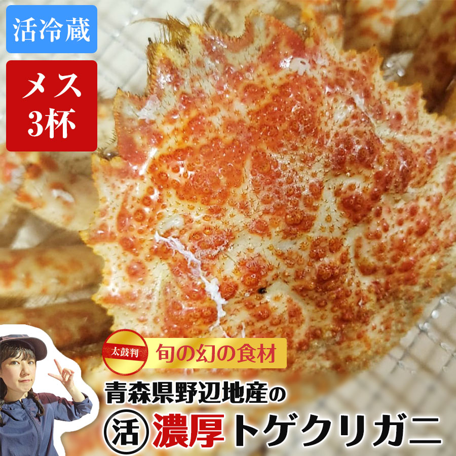 【産地直送】 青森旬の幻の食材 活蟹 濃厚味噌あり！ ...