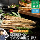 愛知県三河一色産 うなぎ 白焼 5パック 4〜5人前(真空パック 急速冷凍) 特製秘伝のタレ付き | 冷凍 うなぎ 白焼き 国産 新鮮 鰻 蒲焼き ギフト 贈答...
