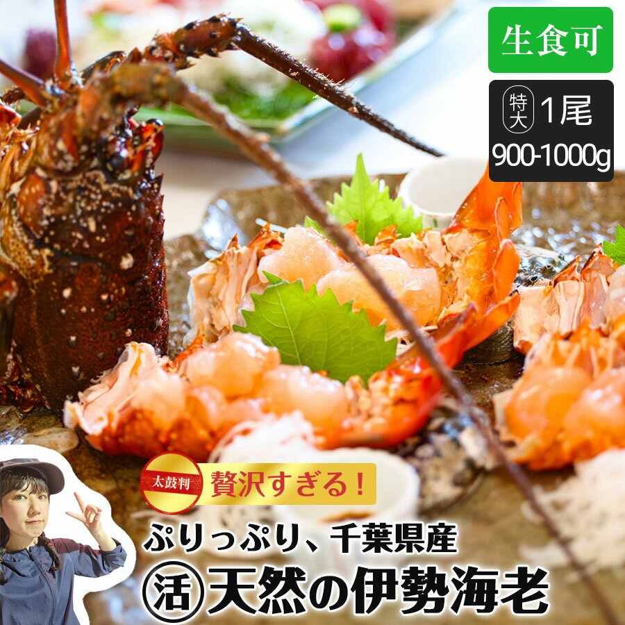 2024最新】大きめ おせち!人気おすすめアイテムランキング 2024最新】大きめ おせち!人気おすすめアイテムランキング