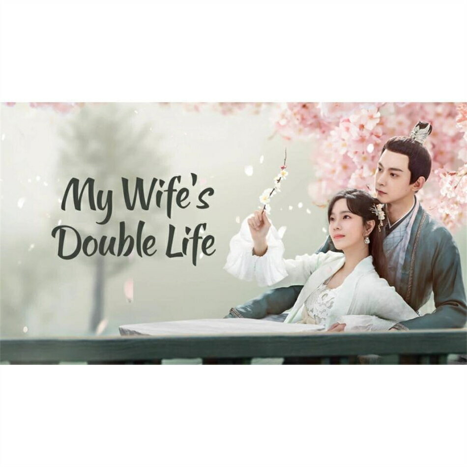 日本語字幕 中国ドラマ 華ドラ「柳葉摘星辰/My Wife's Double Life」DVD Blu-ray BOX 全話収録