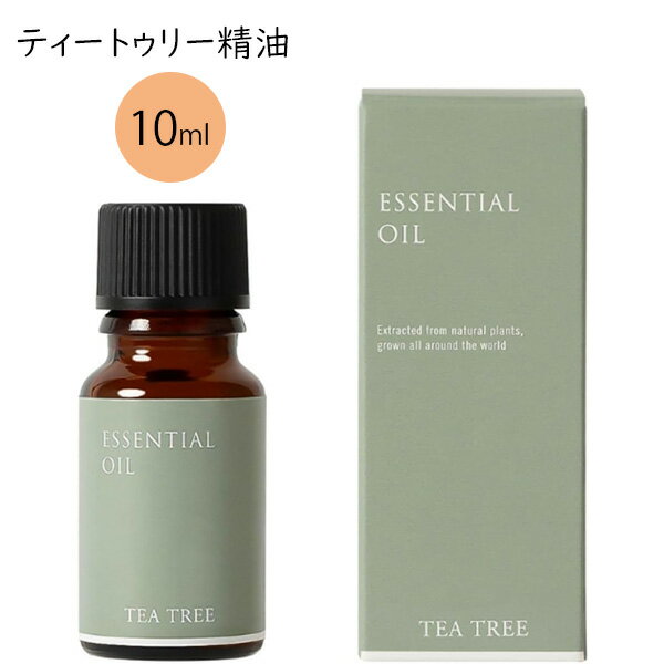 ティートゥリー 10ml 生活の木 エッセンシャルオイル アロマ オイル ティーツリー 精油 香り 癒し リラックスのサムネイル