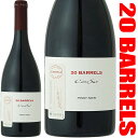 コノスル ピノ ノワール 20バレル リミテッド エディション / Cono Sur Pinot Noir 20 Barrels Limited Edition [CL][赤]