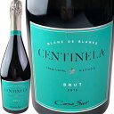 コノスル センティネラ ブリュット ブラン ド ブラン Cono Sur Centinela Brut Blanc de Blanc [CL][白泡]