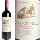 LeB NVR 2019 tHgfB / Chianti Classico Fontodi [2019][IT][]