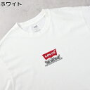Levi's VINTAGEFIT TEERight-on ライトオン 87373-0329 Levi's リーバイス