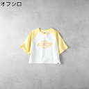 Dickies プリントラグランTRight-on ライトオン 5287-5920 Dickies ディッキーズ