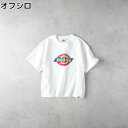 Dickies アイコンロゴクロップドTRight-on ライトオン 5287-5922 Dickies ディッキーズ