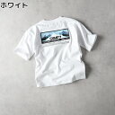 CAMP7 グラフィックプリントTシャツRight-on ライトオン CP46032008 CAMP7 キャンプ7