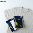 RALPH LAUREN POLO クルーネ