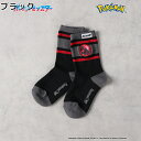 pokemon ソックスガラルファイヤーRight-on ライトオン PM1636J pokemon ポケモン