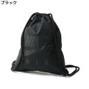(ナイキ)NIKE 【WEB限定】グラフィックジムバッグ ウィメンズRight-on,ライトオン,BA5430-EC,NIKE,ナイキ