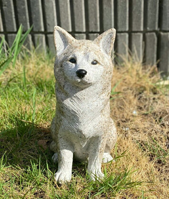 秋田犬置物　かわいい置物　犬の置物秋田犬　大福くんお庭や玄関に飾っても、お部屋のインテリアとしてもおすすめです。