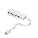 GR usbnu USB2.0 Type-C AX4|[g oXp[ 15cmP[u MacBook/i