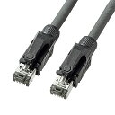 TTvC CAT6A STP LANP[u(1m) 10Gbps/500MHz RJ45 c܂h~ O