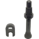 campagnolo(カンパニョーロ)WH-SH101 ・2-WAY FITバルブ ・C17用 小