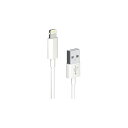 在庫処分 セール 在庫限りの特価品 VERTEX Lightningケーブル iPhone iPad 充電 データ転送用 USBケーブル Appleライセンス商...