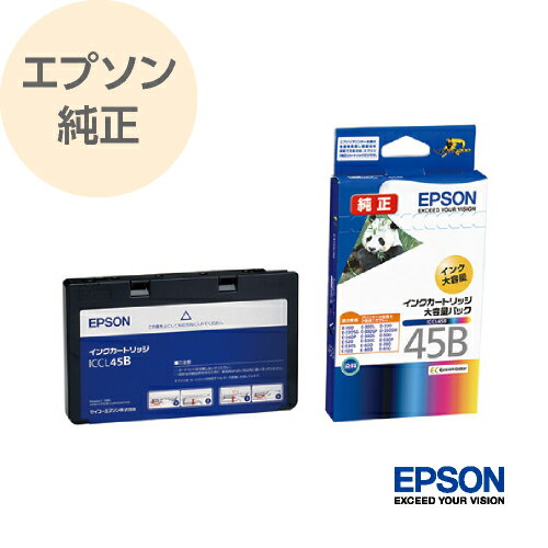 EPSON ץ  󥯥ȥå ѥ 顼 4η ̥ѥå ICCL45B